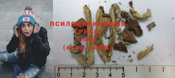 гашик Волосово